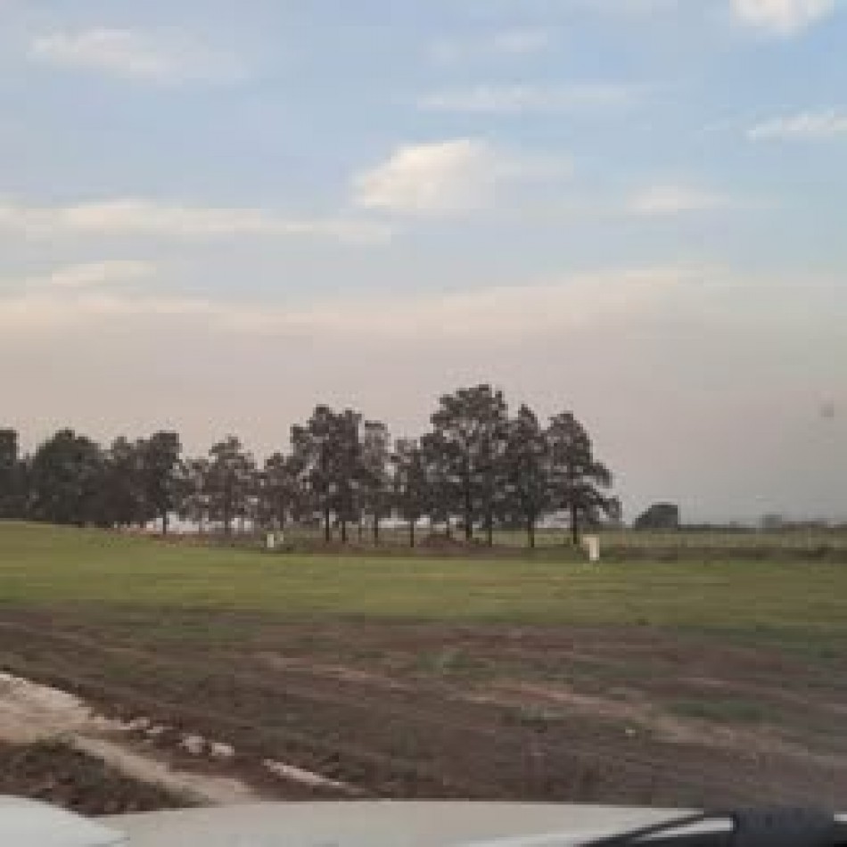 TERRENO DISPONIBLE EN LA RESERVA II