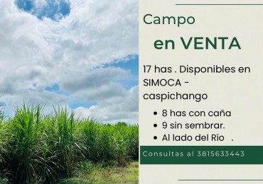 VENTA | CAMPO