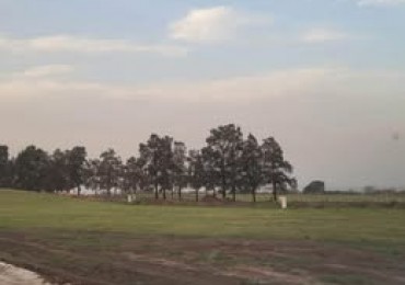 TERRENO DISPONIBLE EN LA RESERVA II